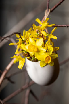 Ei gef&uuml;llt mit mit Forsythien