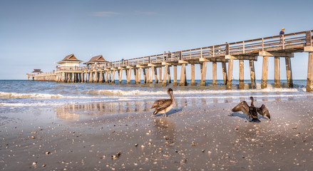 View of pier in Naples Florida from sand