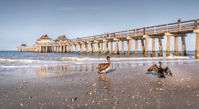 Fototapeta View of pier in Naples Florida from sand