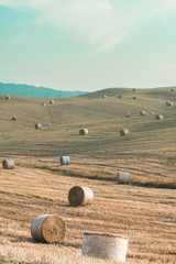 Fototapeta premium tuscan view in the area of val dorcia in italy