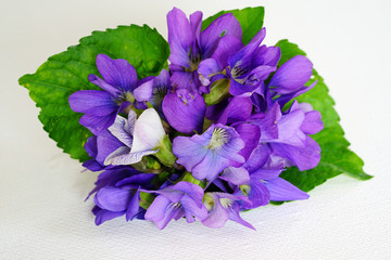 Small posy bouquet of fresh purple violet pansies