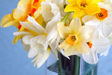 Fototapeta na wymiar Bouquet of colorful yellow, orange and white daffodil flowers in a vase