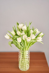 Tulips of white color in glass vase. Floral natural backdrop. Unusual flowers, unlike the others.