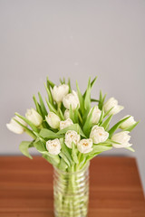 Tulips of white color in glass vase. Floral natural backdrop. Unusual flowers, unlike the others.