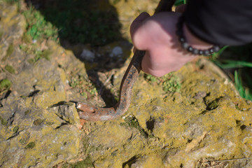 Male works with crowbar on outside in sunny day. Rusty crowbar in hand of engineer or handyman. Hand tool close up