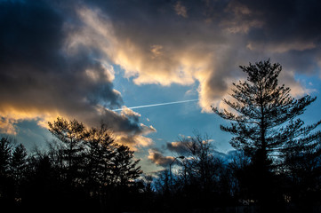 Contrails over Trees in Upstate New York