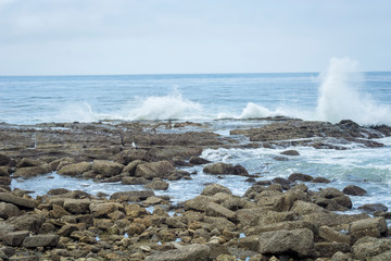 Ocean Waves on Rocks at White Point Park Southern California