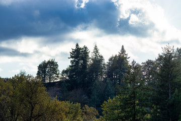 blue sky and fluffy clouds over a forested hill