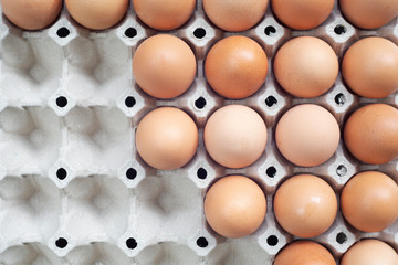 hen eggs in a tray close up shot with top view.
