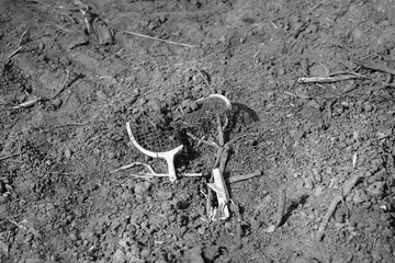 broken tennis missile in the sand