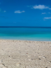 Caribbean beach with turquoise sea in the bahamas