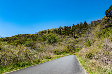 湘南国際村 大楠山 ハイキングコース 