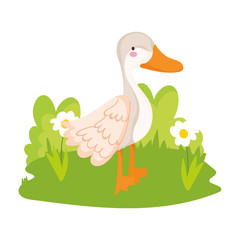 goose with flowers in grass farm animal cartoon