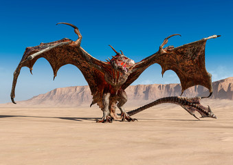 dragon is standing up alone on desert