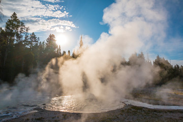 Early Moning Steam on Spasmodic Geyser, Upper Geyser Basin, Yellowstone National Park, Wyoming,USA