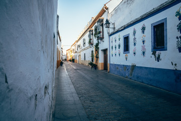 view of a characteristic street in the center of old cordoba