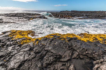 Tide Pools Surrounded By Pahoehoe Lava On Wawaloli Beah, Wawaloli Beach Park, Hawaii, Hawaii, USA