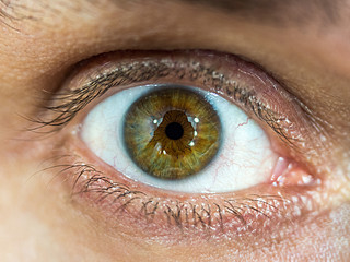 A macro shot with a focus in the center of the male brown eye with glare from light bulbs