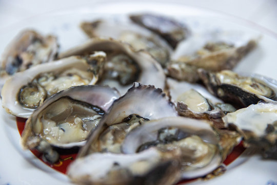 Fresh Shucked Oysters On The Half Shell