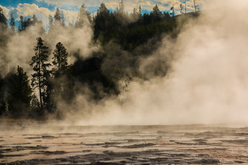 Fototapeta na wymiar Early Moning Steam on Spasmodic Geyser, Upper Geyser Basin, Yellowstone National Park, Wyoming,USA