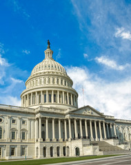 Fototapeta na wymiar Capitol Building in Washington DC USA