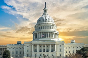 Capitol Building in Washington DC USA - obrazy, fototapety, plakaty