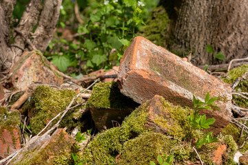 Fototapeta premium Old broken bricks covered in moss, half hidden in the undergrowth . Found in Stanmore Country Park, Middlesex UK.