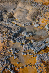 Closeup of Anemone Geyser,Upper Geyser Basin Trail. Yellowstone National Park, Wyoming , USA