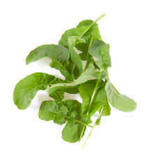 rucola isolated on  white background