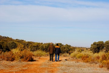 Obraz premium couple walking in the park