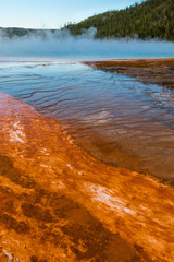 Steam Rising Above Grand Prismatic Springs, Midway Geyser Basin,Yellowstone National Park, Wyoming, USA