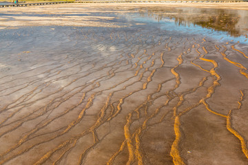 Reflections In The Terraced Surface Near Grand Prismatic Springs, Midway Geyser Basin,Yellowstone National Park, Wyoming, USA