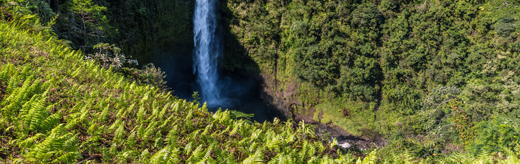 Naklejka na ściany i meble Kolekole Stream Plunges Over Akaka Falls, Akaka Falls State Park, Honomu,Hawaii, Hawaii, USA