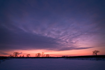 Naklejka premium The pastel colors of a winter sunset over a frozen wetland conservation area.