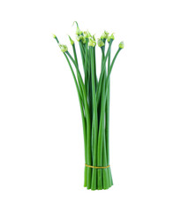 chives flower or chinese chive isolated on white background