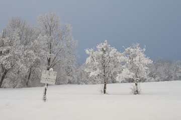 Tree and herd sign with snow