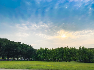 green field and blue sky