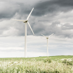 Fototapeta premium wind power turbine on green grass hills