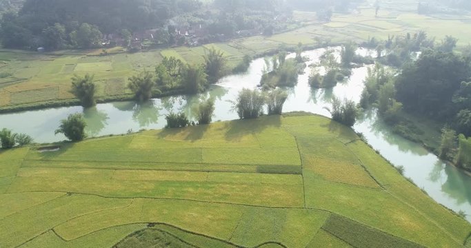 Aerial view of agriculture in rice fields for cultivation at Phong Nam, Trung Khanh, Cao Bang, Vietnam. Natural the texture for background 