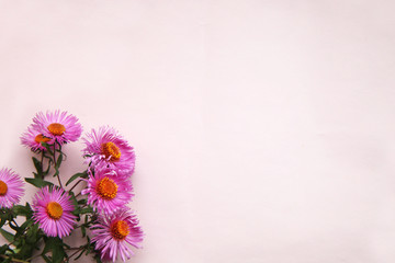 Flowers are pink on a light pink background with space for text.