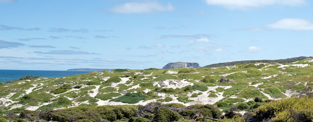 this is a view from seal bay