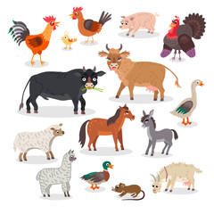Big farm animals and birds set. Vector