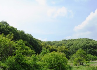 Fototapeta na wymiar 日本の田舎の風景　6月　山と青空