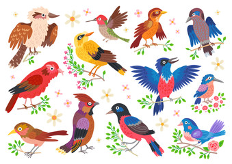 Fototapeta premium Set of forest birds. Vector cartoon songbirds