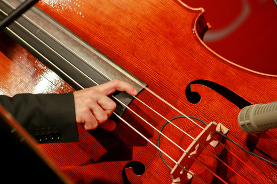 Mid Section Of A Man Playing Musical Instrument