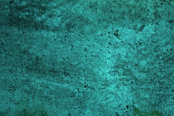 Obraz premium green grunge texture