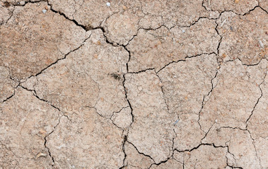 dry soil background