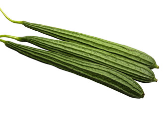 freshness three green angled loofah or aculangula vegetable long size shape. Isolated on white background with clipping path.