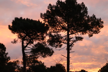 paysage au crépuscule ciel  multicolore