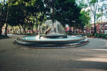 The coyoacan fountain, which is a major tourist landmark located at the center of the town